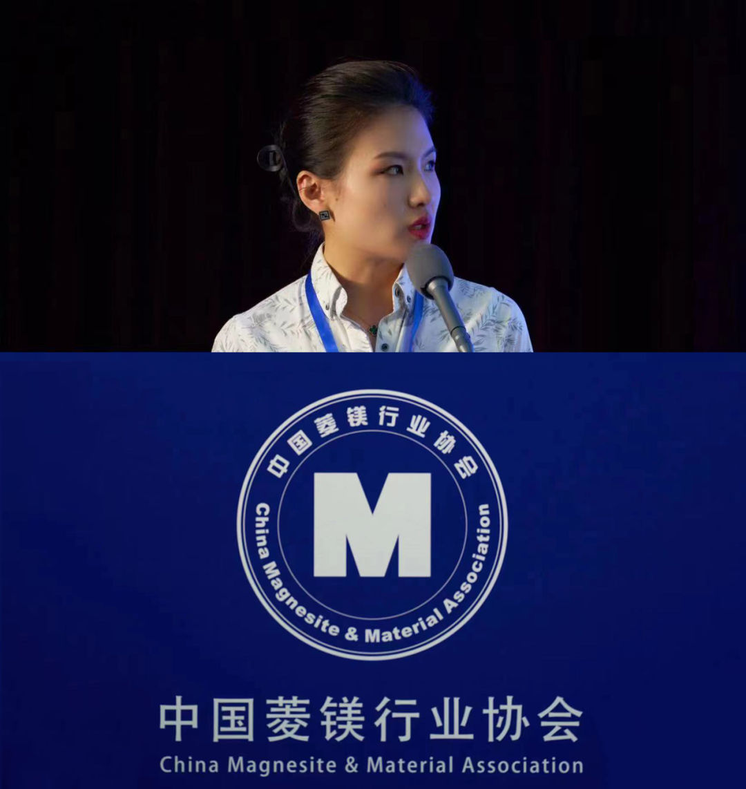 攜手并進 共謀發(fā)展｜我司受邀參加第一屆全國鎂資源利用學術(shù)會議并作成果匯報